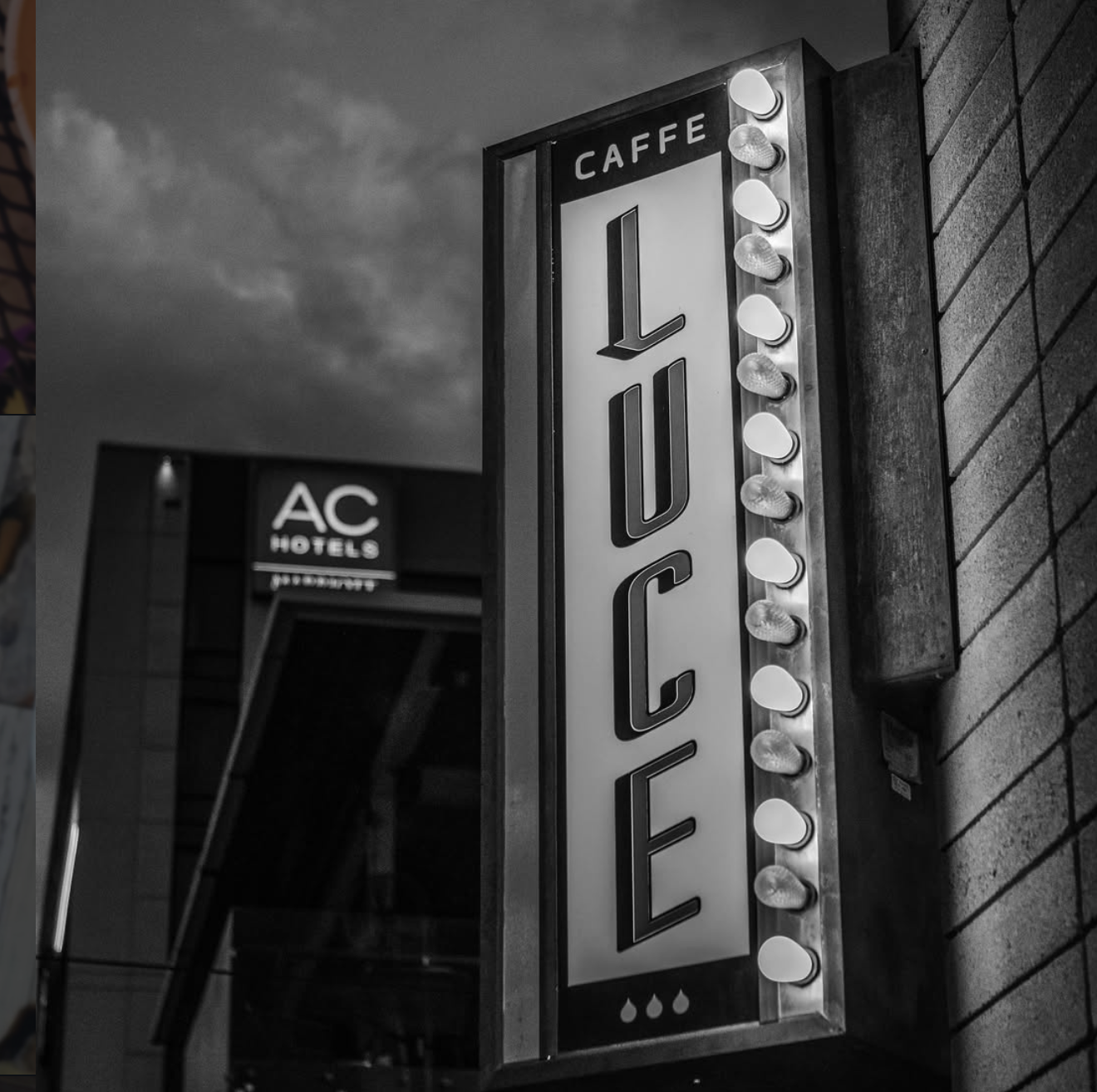 Vampire Lover Artwork